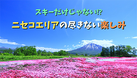 ニセコエリアの尽きない楽しみ♪